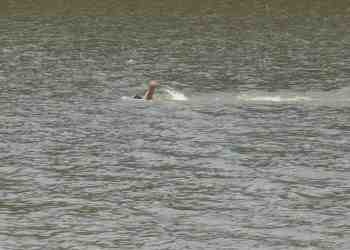 Геройство: Теодор плува благотворително 4 часа в езерото Липник с една ръка