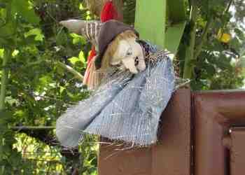 В Ряхово вещици пазят стопаните от зли сили и чума по свинете