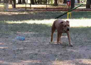 Русе Медиа - За да знаеш повече