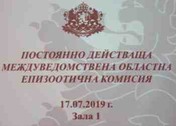 Започна умъртвяването на заразените с африканска чума прасета в русенска област /ВИДЕО/