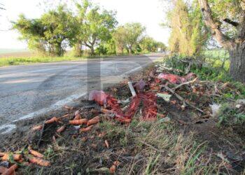 Два чужди тира затвориха Русе-Бяла, единият водач е с алкохол /ВИДЕО/