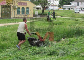 Въпреки косенето: Змии стряскат майки с деца в квартали на Русе /ВИДЕО/