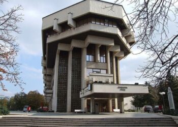 Комисия обсъжда проблемите на безстопанствените животни в Русе