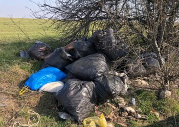 Пореден случай на изхвърляне на отпадъци край пътя, подаден е сигнал