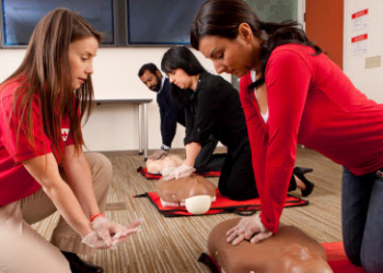 БЧК-Русе прави дистанционни курсове за кандидат-шофьори