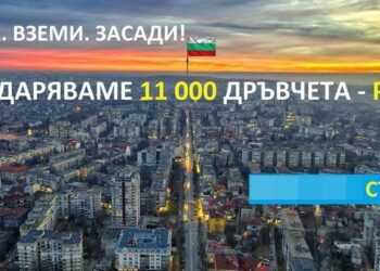 В събота: Раздават безплатно 11 000 дръвчета на желаещите русенци