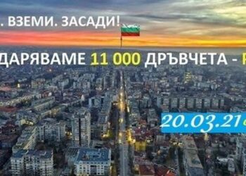В събота: Еколозите ще кажат къде в Русе може да се садят дръвчетата