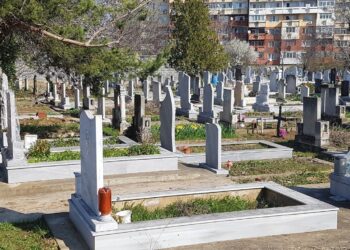 „Обреден дом“ започна разчистване на храстите в гробищните паркове