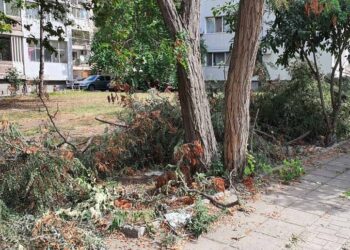 Чакат идеите на русенци за междублоковите пространства, дават до 300 лв.