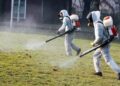 На 26 и 27 април пръскат срещу бълхи и кърлежи в община Ветово