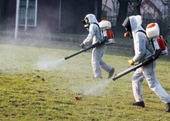 На 26 и 27 април пръскат срещу бълхи и кърлежи в община Ветово