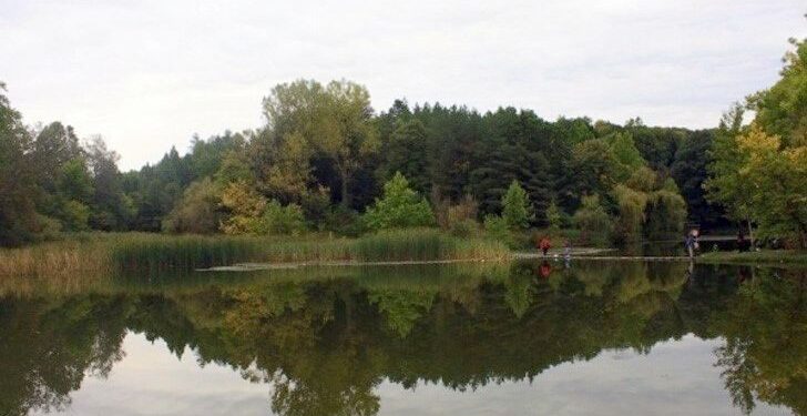 Русе Медиа - За да знаеш повече