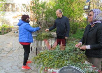 Празнуваме Цветница, раздават върбови клонки /ВИДЕО/