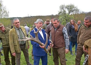 Най-тежките рога на благороден елен са намерени в Русенско