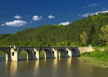 Риболовно състезание набира средства за зарибяване на река Янтра