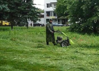 Бум на кърлежи: По 20 души на вечер – предимно деца, ходят при лекар