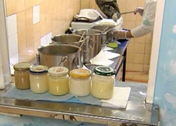 Над 700 деца от Русе се хранят от Млечна кухня, харесват киноа и елда