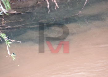 Нерегламентирано изпускане на цветни води в река Русенски Лом /ВИДЕО/