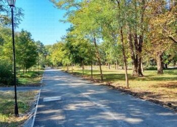 Общината санкционира по 10 души седмично заради коли в парка