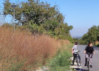 Колоездачи искат безопасна връзка Русе-Басарбово, ще броят велопотока