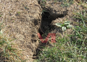 Общината прави кладенци в Русе, за да бъде градът отново зелен /ВИДЕО/