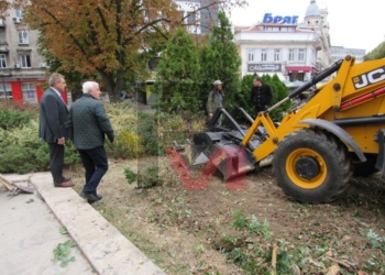 Премахват старите храсти пред общината, ще има цветя и нови плочки /ВИДЕО/