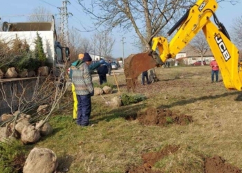 Залесяват Русе през есента и зимата с близо 300 дървета от 11 вида