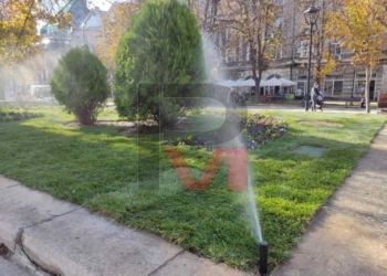 Гръцки чимове трева озелениха цветните градинки пред общината /ВИДЕО/