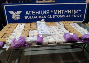 Белгиец ще лежи 6 години за контрабанда на 45 кг хероин през Дунав мост
