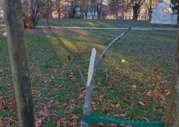 Паркът на възрожденците остава за догодина, вандали трошат фиданки /ВИДЕО/
