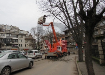 Санитарна сеч и премахване на опасни дървета върви в Русе /ВИДЕО/