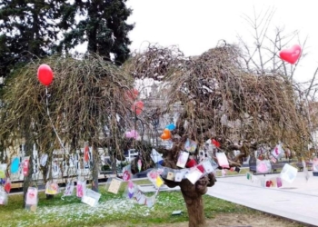 Над 100 „валентинки“ разцъфват на Дървото на влюбените в Русе