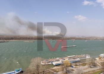 Пожар на сухи треви в Гюргево обгърна Русе с черен дим /ВИДЕО/