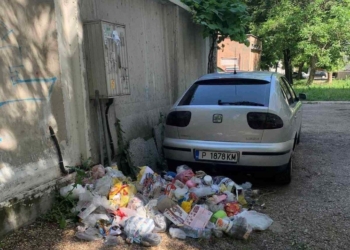 „Нелсен“: Кубици смет закарани и разхвърляни умишлено в района на Гарата
