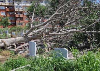 Гробището в „Чародейка“ пострада тежко при бурята, молят за сигнали и разбиране от русенци