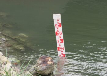 Круизни кораби губят туристи заради ниското ниво на река Дунав /ВИДЕО/