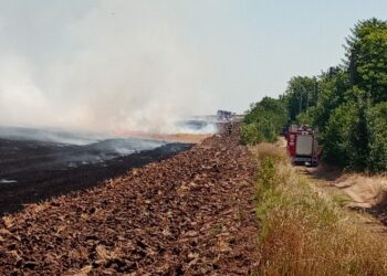 Вилите край Николово се спасиха на косъм от голям пожар /ВИДЕО/