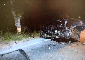 Русенец загина на място след удар в дърво на Русе-Разград