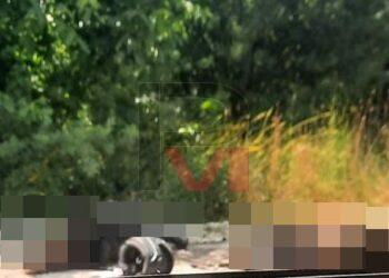 Мотоциклетист загина на място след удар в камион на Русе-Кубрат /СНИМКА 18+/