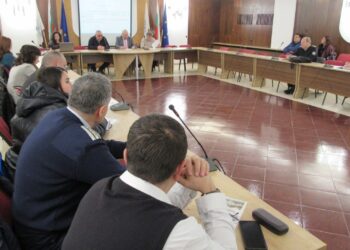 Дават указания на ловците заради дивите прасета с чума в Русенско /ВИДЕО/