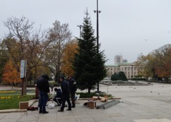 Започна украсяването на Коледна елха в Русе, има изненада /ВИДЕО/
