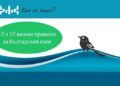 Русе Медиа - За да знаеш повече За Деня на будителите „Как се пише?“ припомня 100 важни езикови правила
