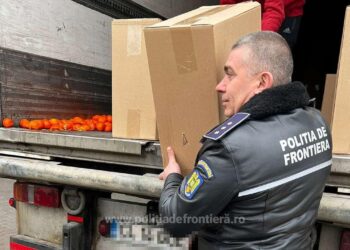 На Дунав мост: Хванаха контрабандни цигари за 2 млн.евро, скрити зад портокали