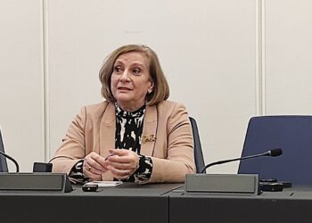 Искра Михайлова: Европа улеснява процедурите за соларни панели /ВИДЕО/