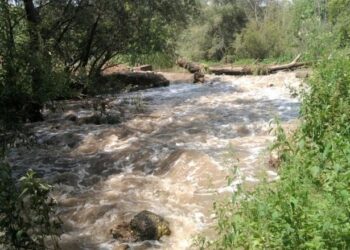 Община Ветово иска да обезопаси коритото на р.Бели Лом в село Кривня