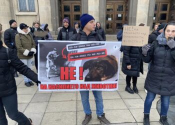Русенци излизат на протест срещу насилието над животни