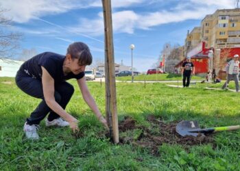 Нови 20 дръвчета бяха засадени в кв. „Чародейка“ в Русе