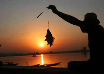 Разрешиха нощния любителски риболов на места в Русе, Мартен и Бяла