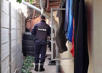 Гранична полиция-Гюргево в обща операция с България за трафик на мигранти /ВИДЕО/