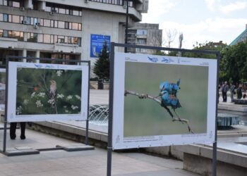 Впечатляващи фотографии на площада показват редки видове от Поломието